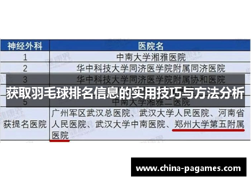 获取羽毛球排名信息的实用技巧与方法分析