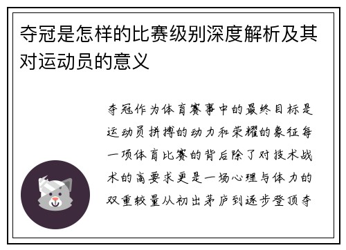 夺冠是怎样的比赛级别深度解析及其对运动员的意义