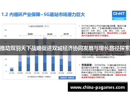 推动双羽天下战略促进双城经济协同发展与增长路径探索 推动双羽天下战略促进双城经济协同发展与增长路径探索